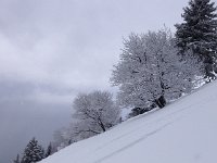 28 December Piste du Diable